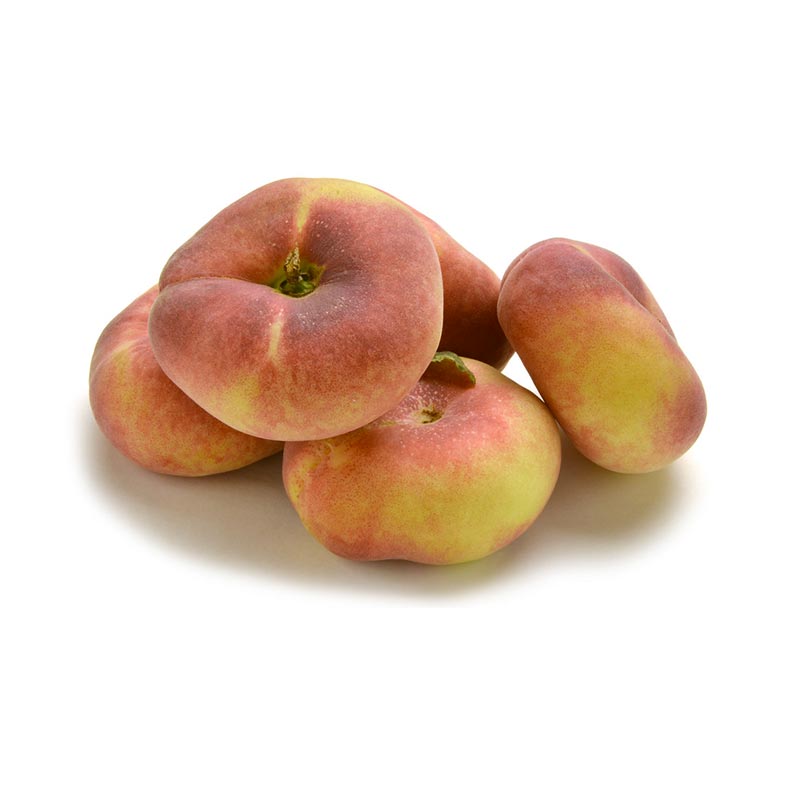 Pesche Tabacchiere